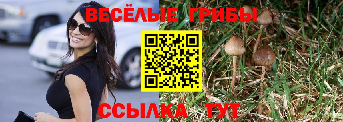 Сургут  Псилоцибиновые грибы Cubensis  Псилоцибиновые грибы Psilocybine cubensis  Вход с VPN 